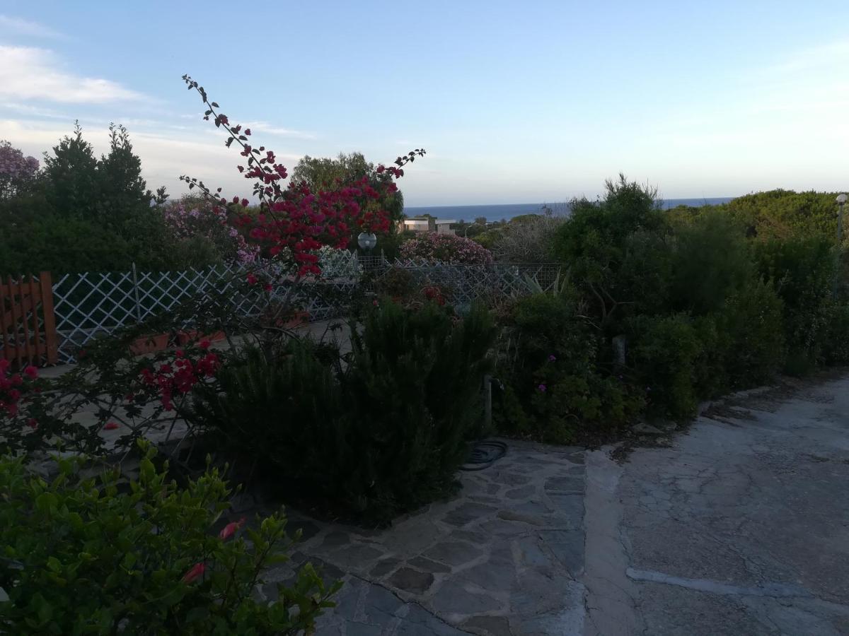Via Carru E Frau Appartement Stintino Buitenkant foto